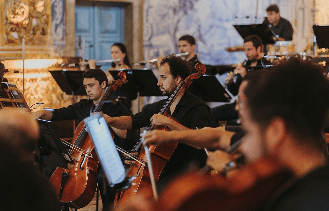 imagem 2024 10 16 170322511