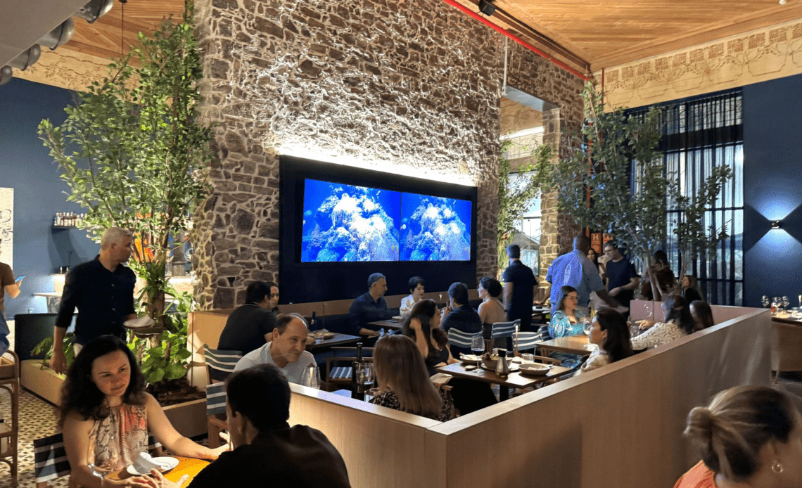 imagem 2024 11 11 162354733