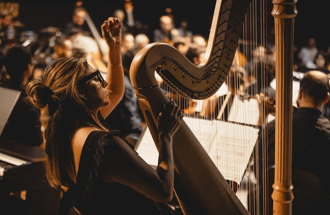 imagem 2024 11 12 142201296