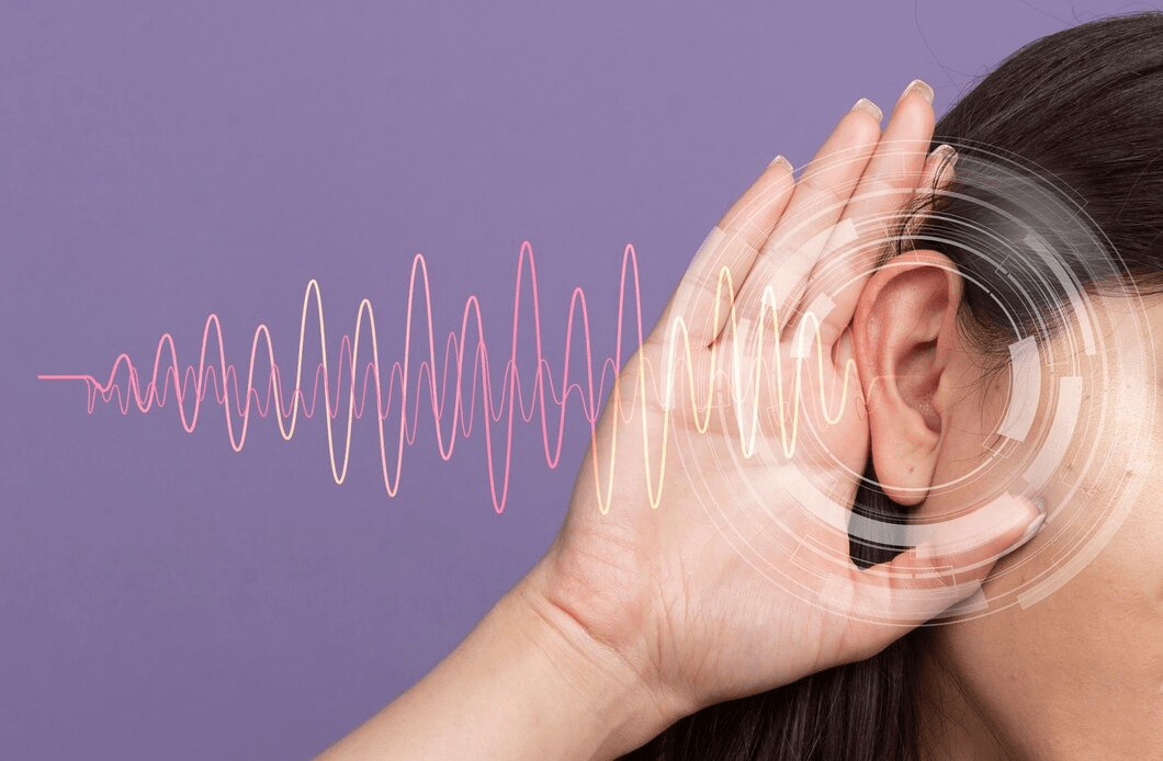 imagem 2024 12 02 152654058