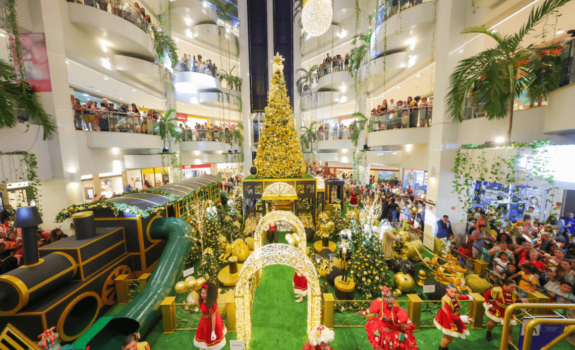 imagem 2024 12 10 170247246