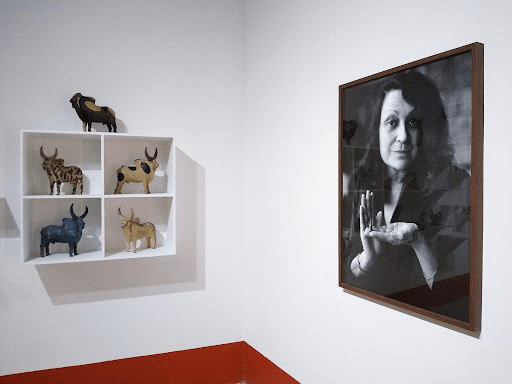 imagem 2025 01 14 160503445