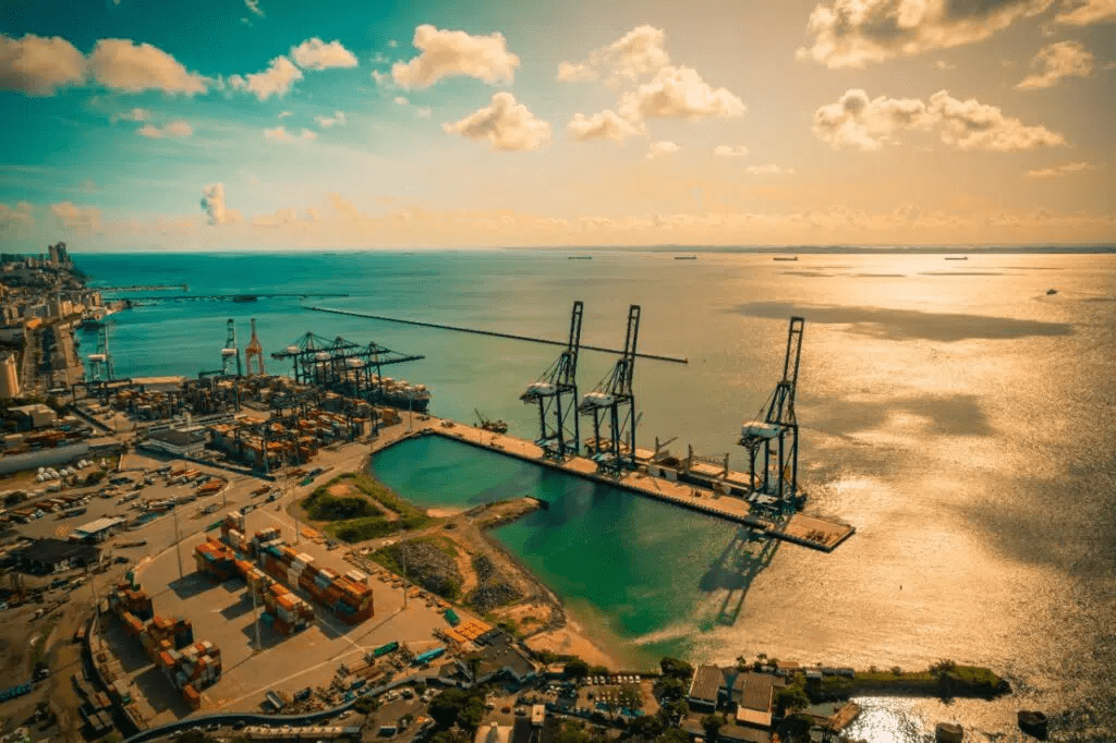 imagem 2025 01 23 150255945