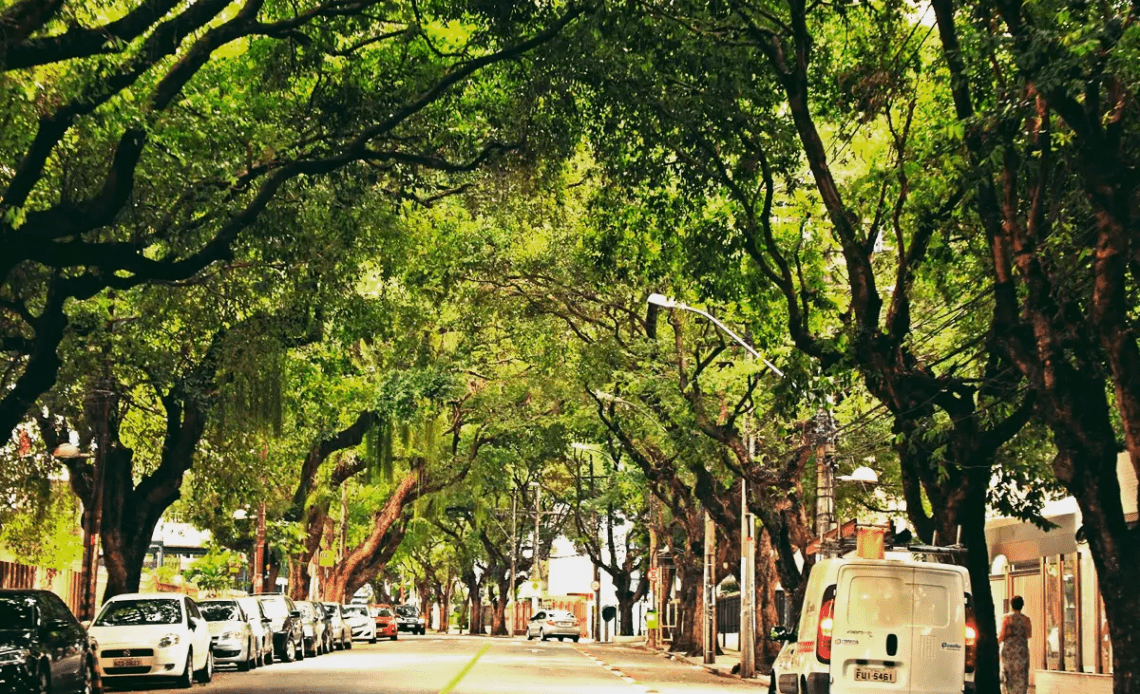 imagem 2025 01 31 160010174