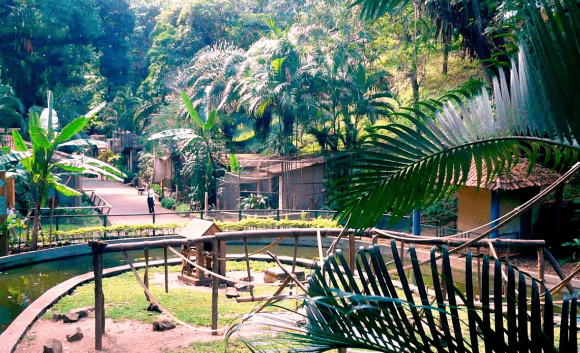 imagem 2025 02 10 172826139