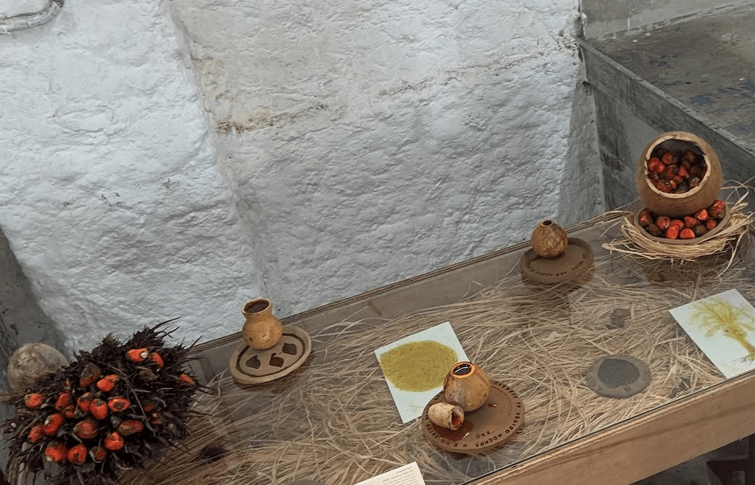 imagem 2025 02 20 163602537