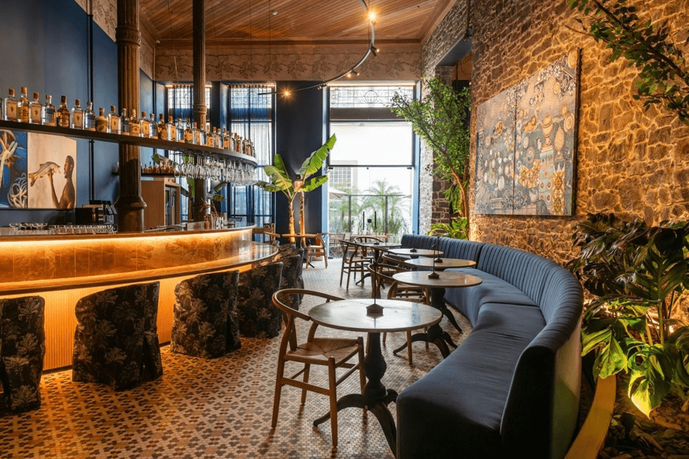 imagem 2025 03 12 153101053