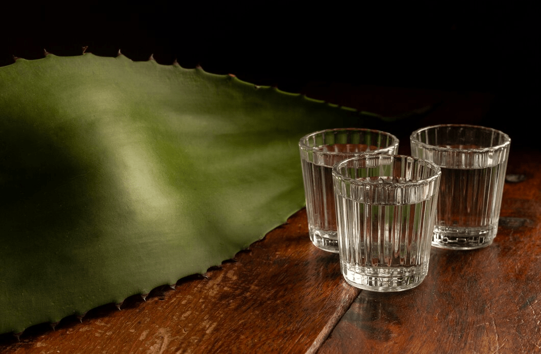 imagem 2025 03 14 134630934