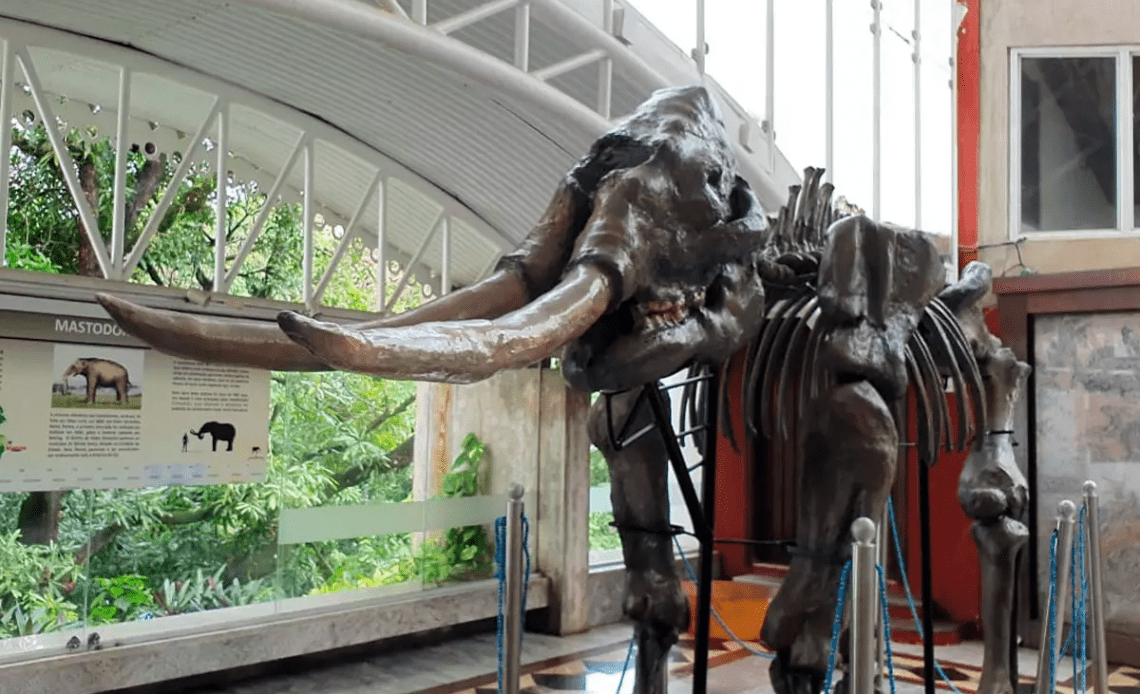 imagem 2025 03 27 144601898