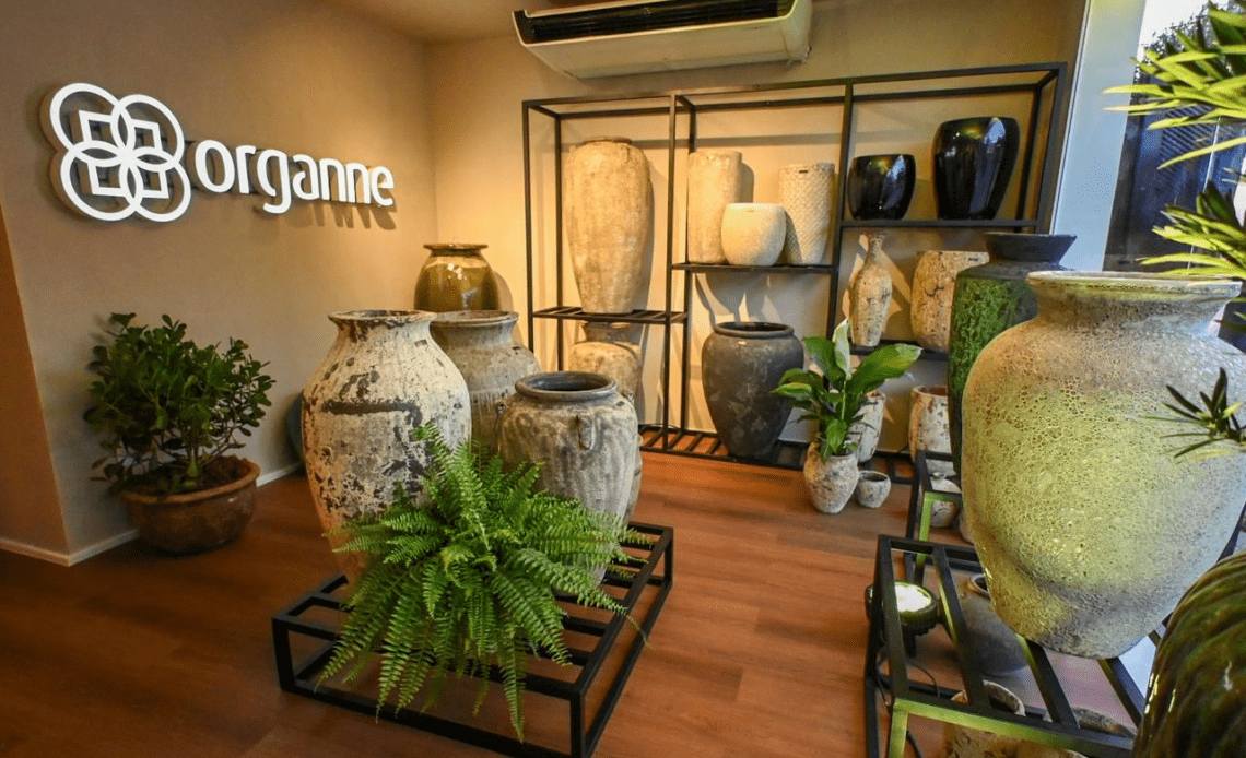 imagem 2025 04 03 161519671