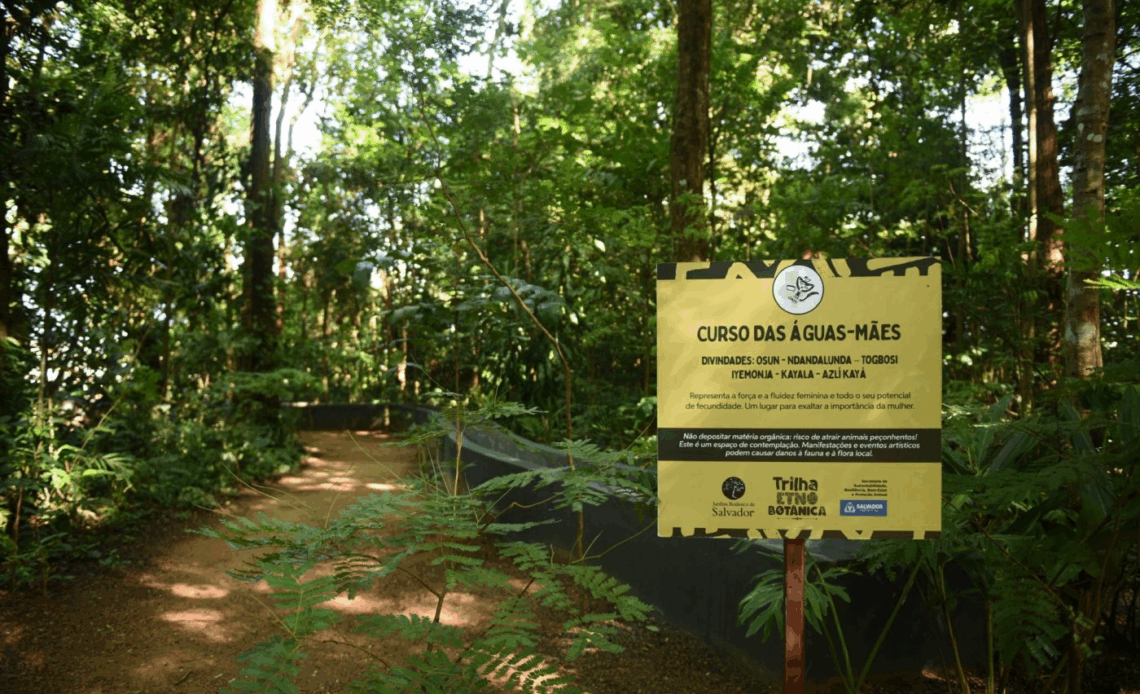 imagem 2025 06 05 154240503