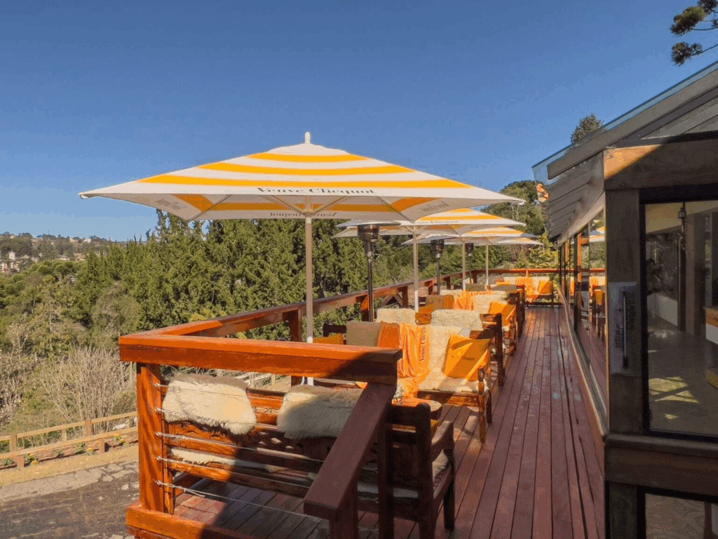 imagem 2025 07 07 111010460