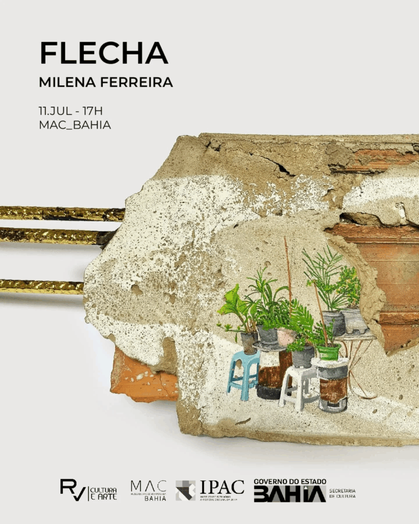 imagem 2025 07 09 165442365