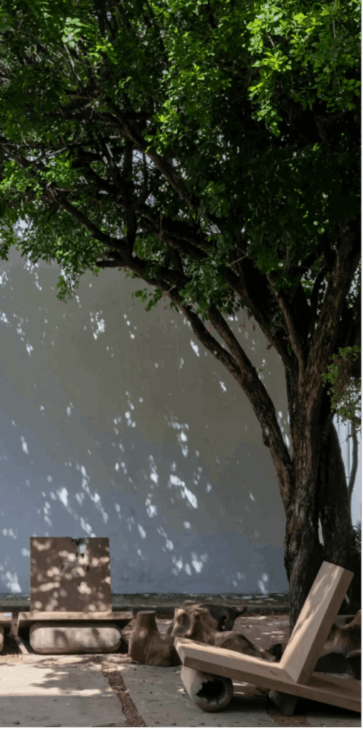 imagem 2025 07 10 154512568