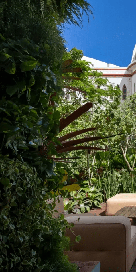 imagem 2025 07 10 154521197