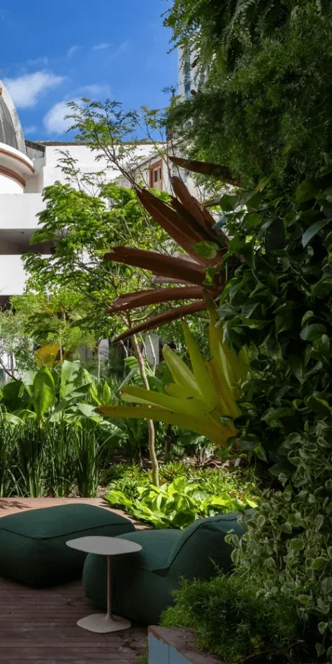 imagem 2025 07 10 154804719