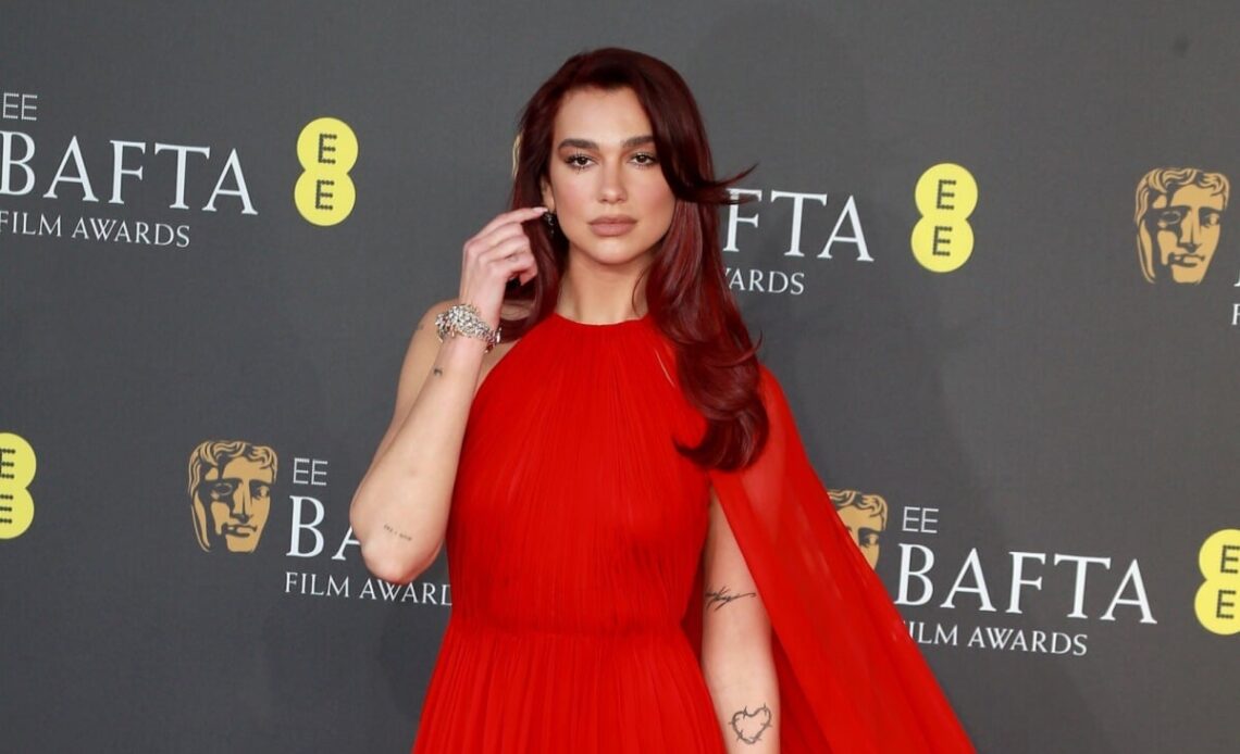 dua lipa cherry hair