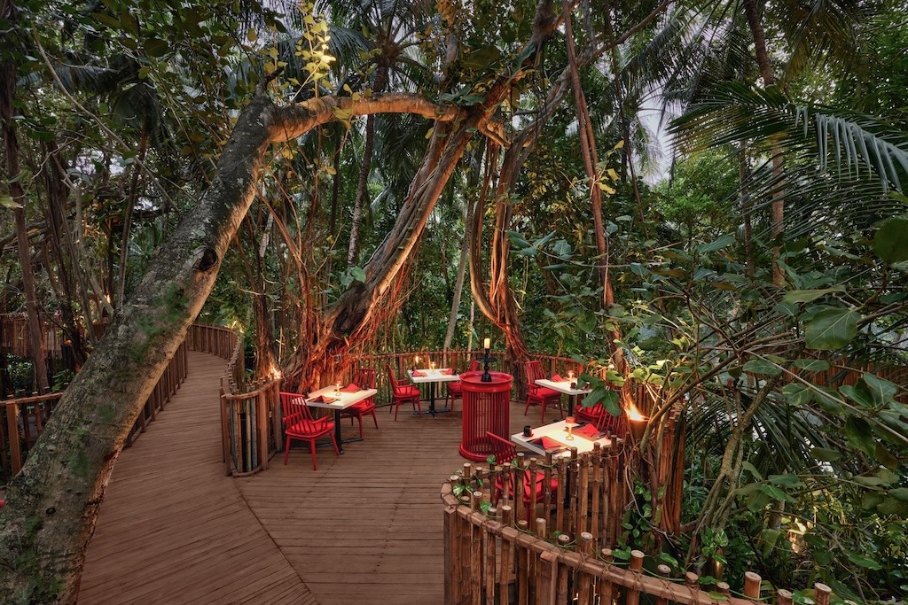 Niyama Private Islands Maldives Restaurant Nest Details Treetop