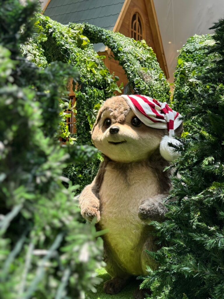 floresta dos encantos2 057 Comunicacoes Visuais