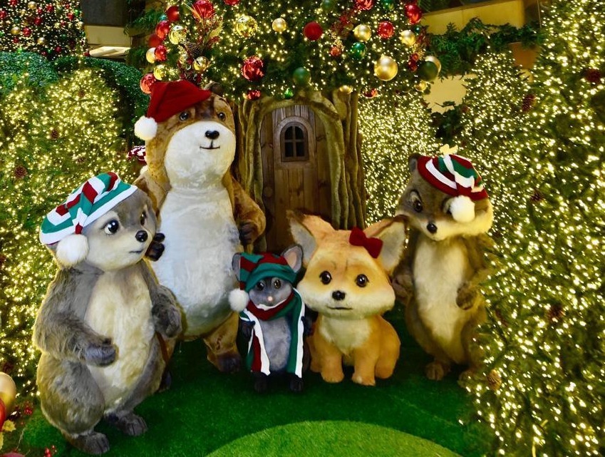 floresta dos encantos 057 Comunicacoes Visuais