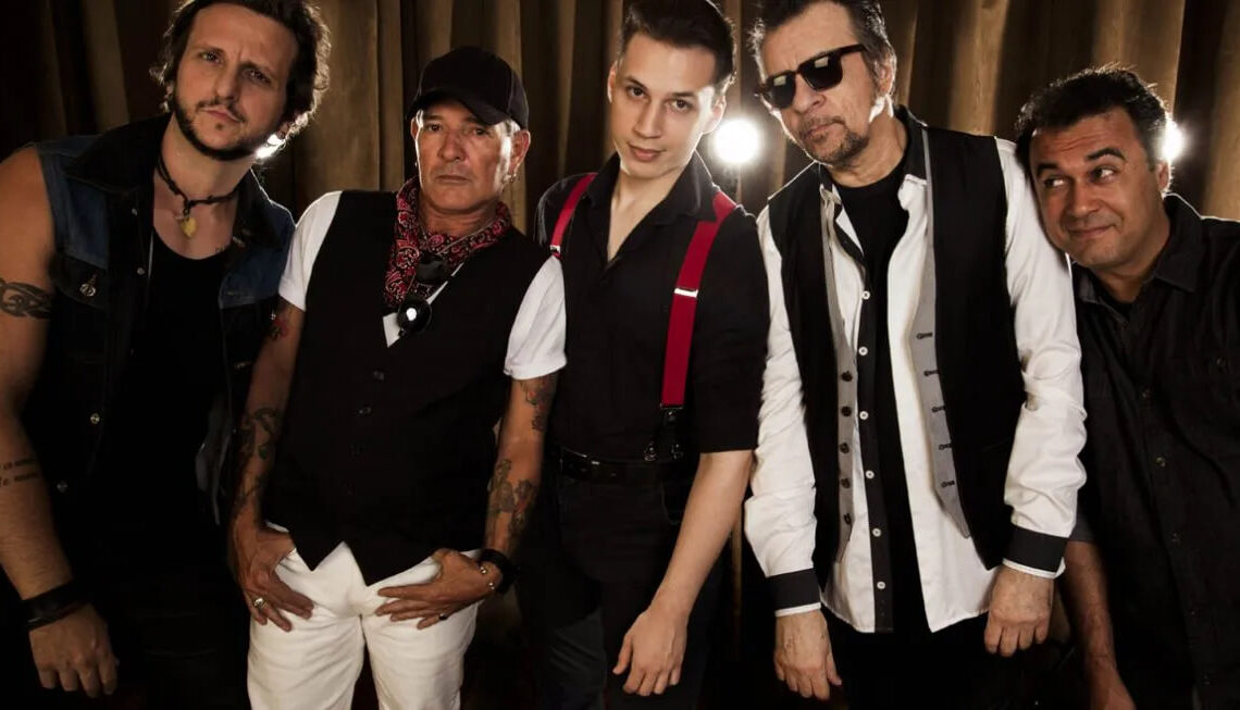 camisa de venus divulgacao