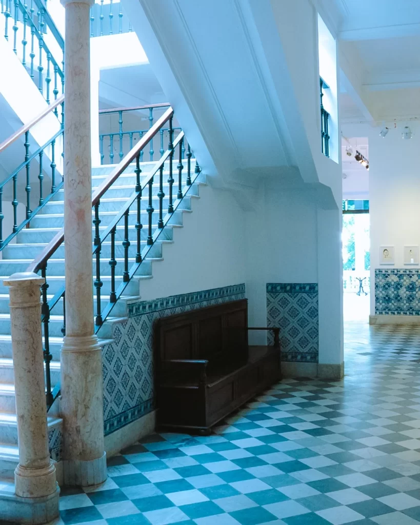 SaveClip.App 524339274 18417564814098446 8596478197226937072 n