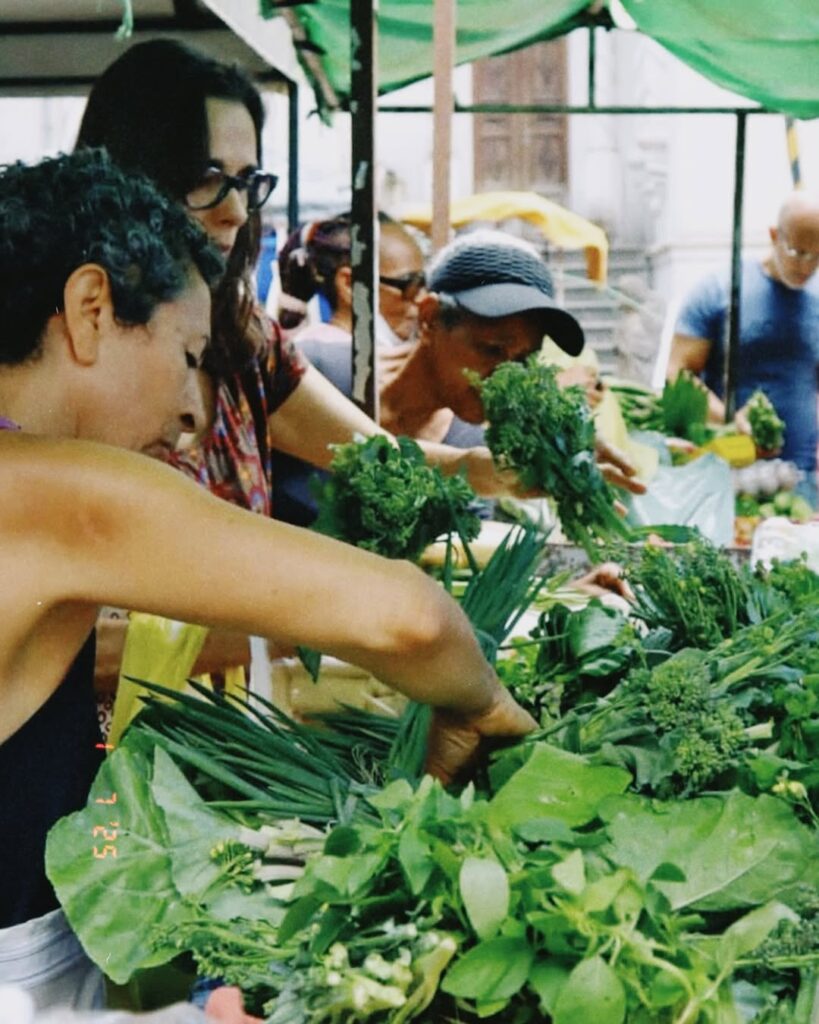 SaveClip.App 472479034 17995313579685417 5102526560163308994 n