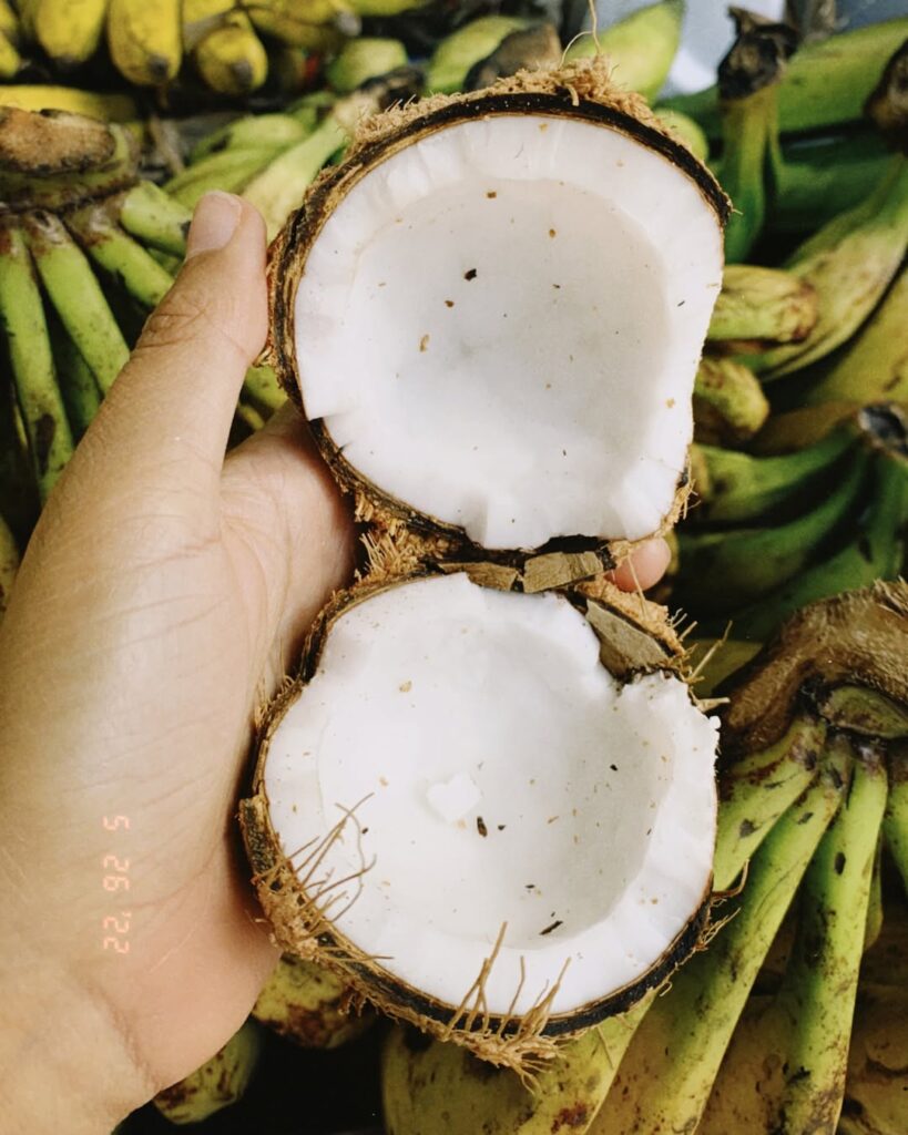 SaveClip.App 488270821 18004946732685417 701660585651191090 n