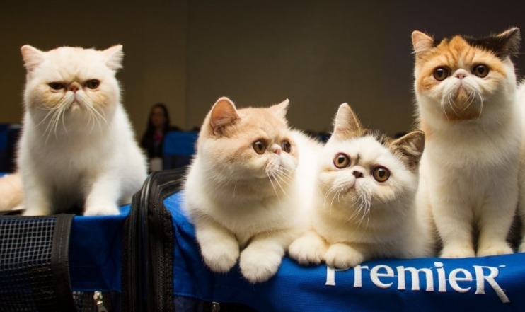 WhatsApp Image 2026 03 02 at 09.35.48 1