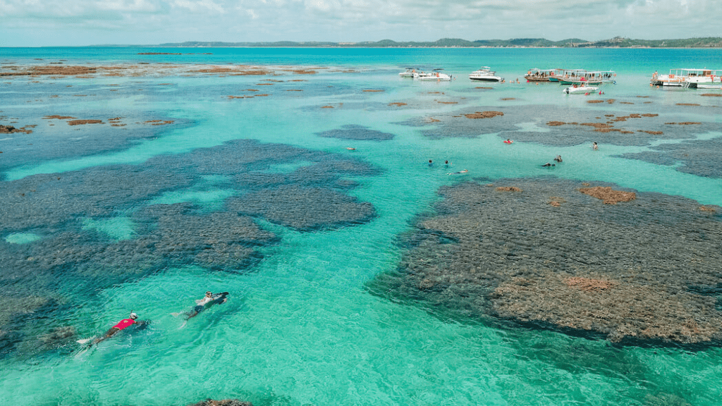 O que fazer em Maragogi? Um guia prático com as melhores atividades.
