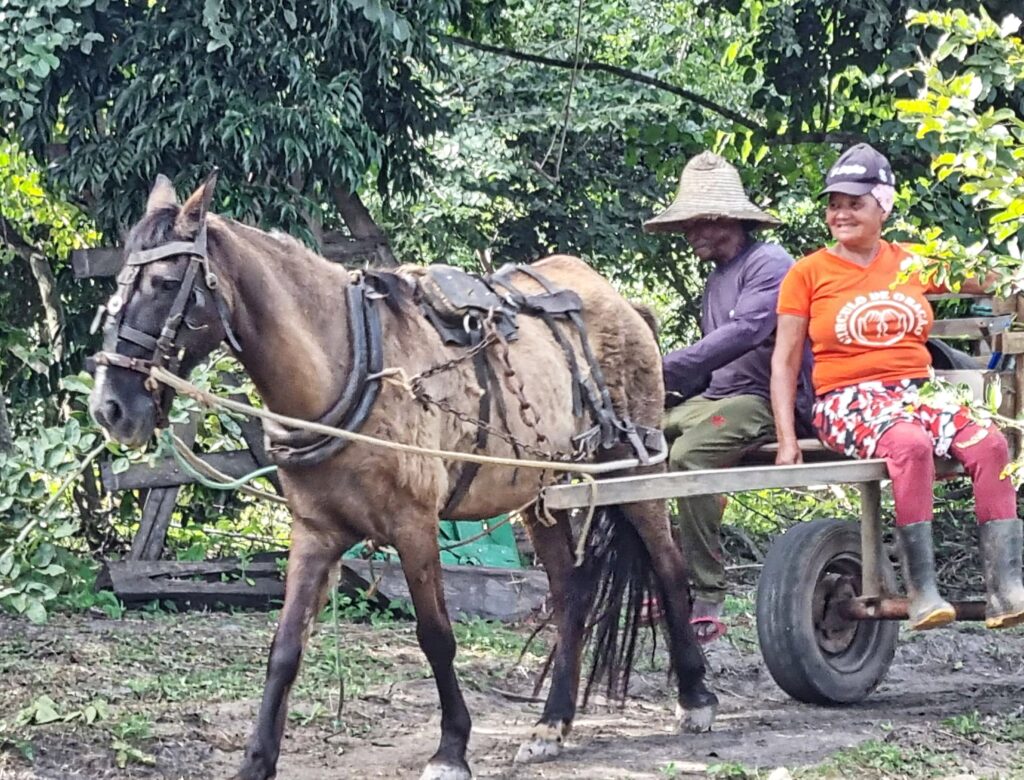 Riachao de Jacobina Fotos de Bokapiu 5