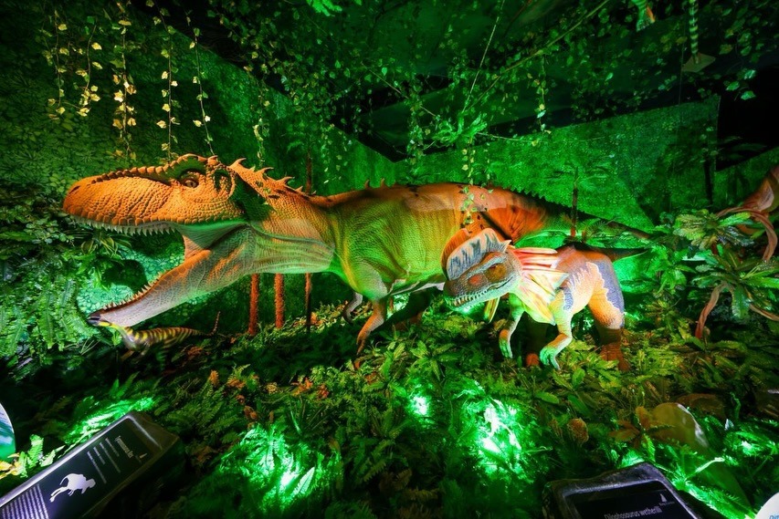 SaveClip.App 659016081 18563238532052565 2577238802323406753 n