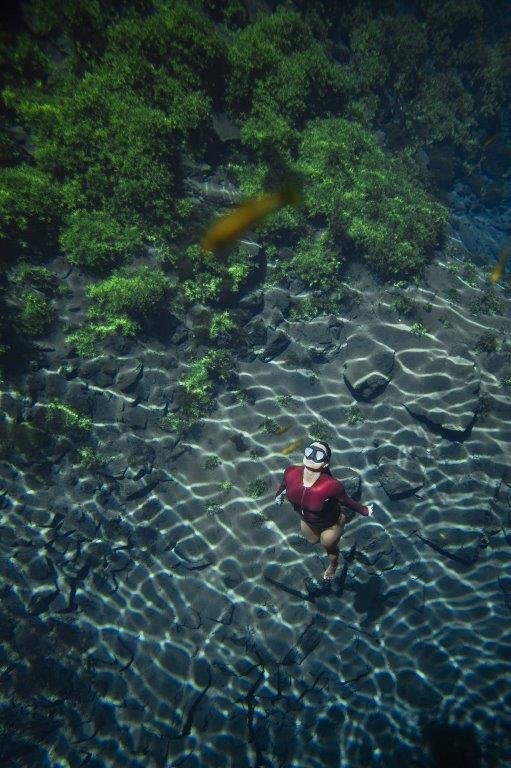 WhatsApp Image 2026 04 06 at 17.58.51