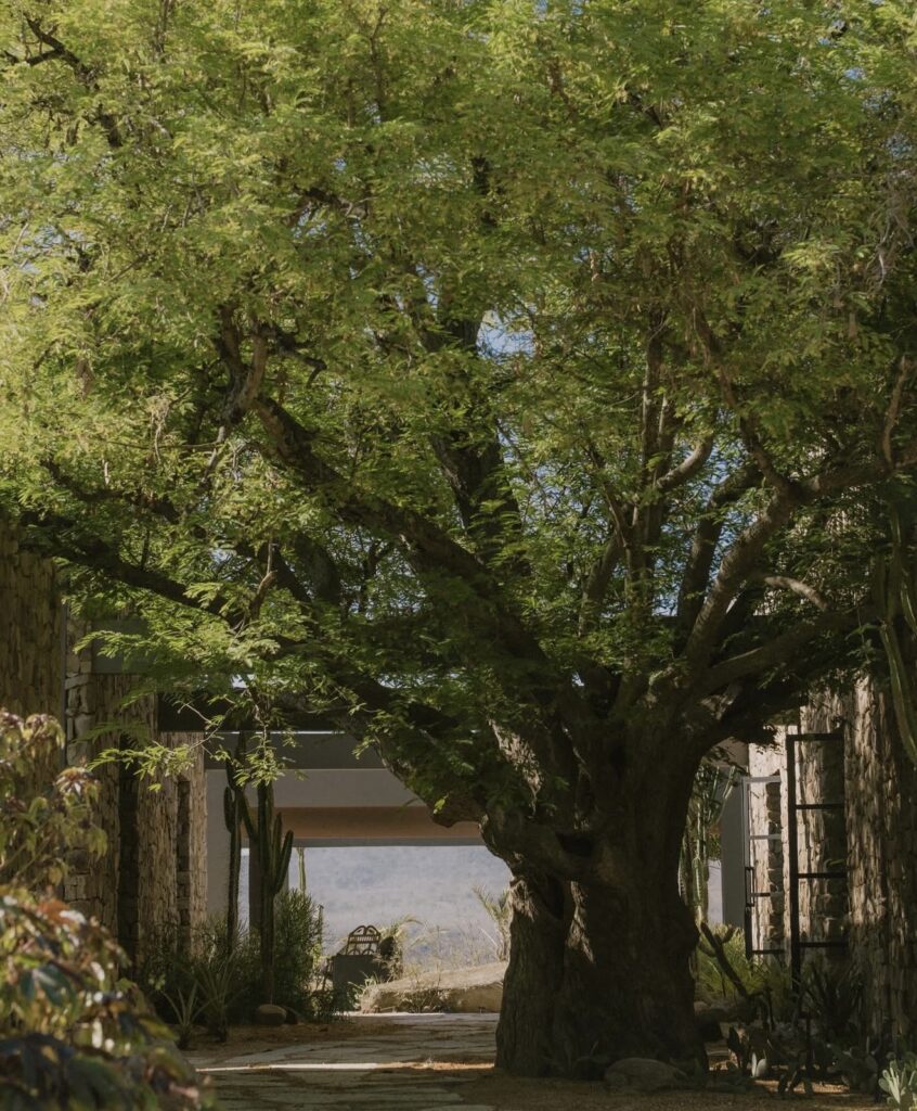 hotel de luxo rio sao francisco 5