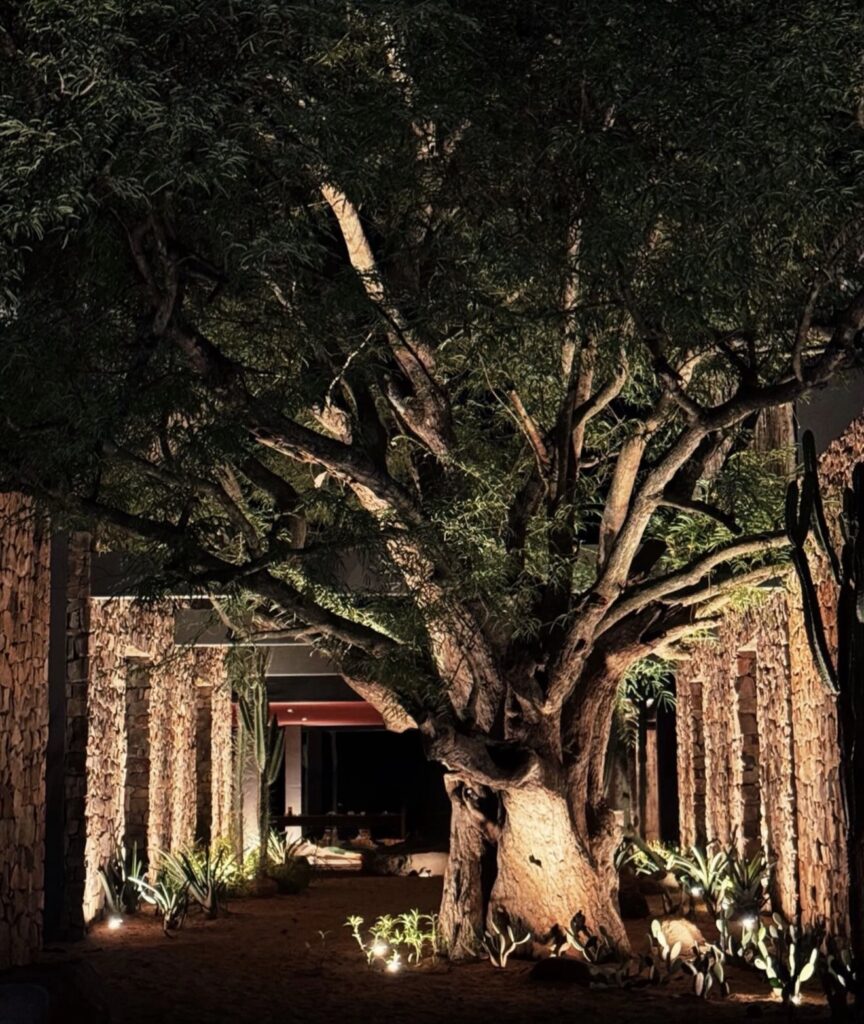 hotel de luxo rio sao francisco 7