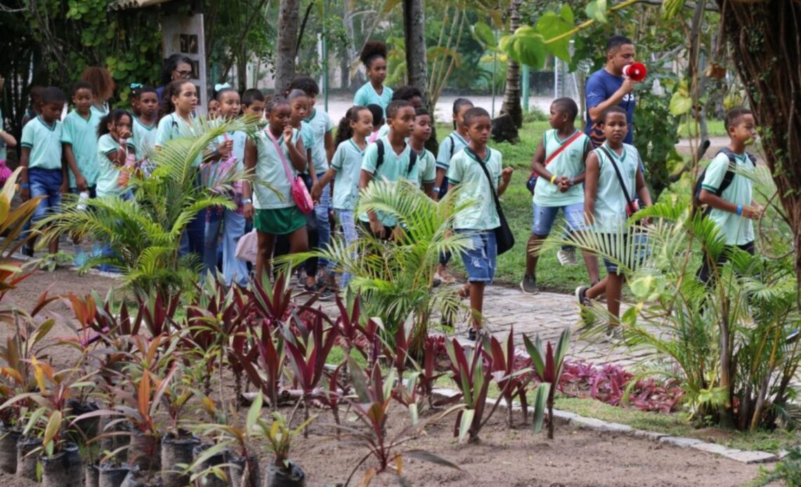 Village Itaparica promove atividades ecológicas para estudantes da rede pública 1 acoes village itaparica meio ambiente