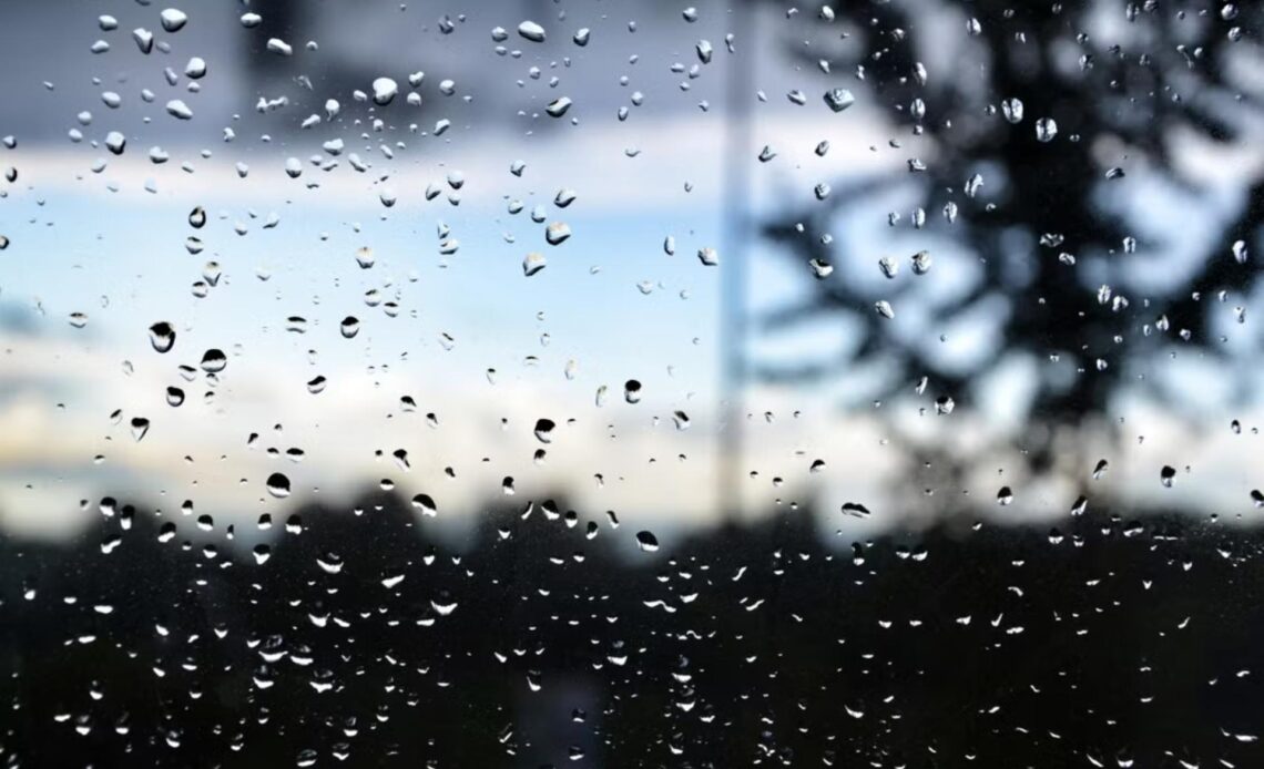 Barra lidera acumulado de chuva em Salvador; veja previsão do tempo 1 chuva foto ilustrativa pexels 1