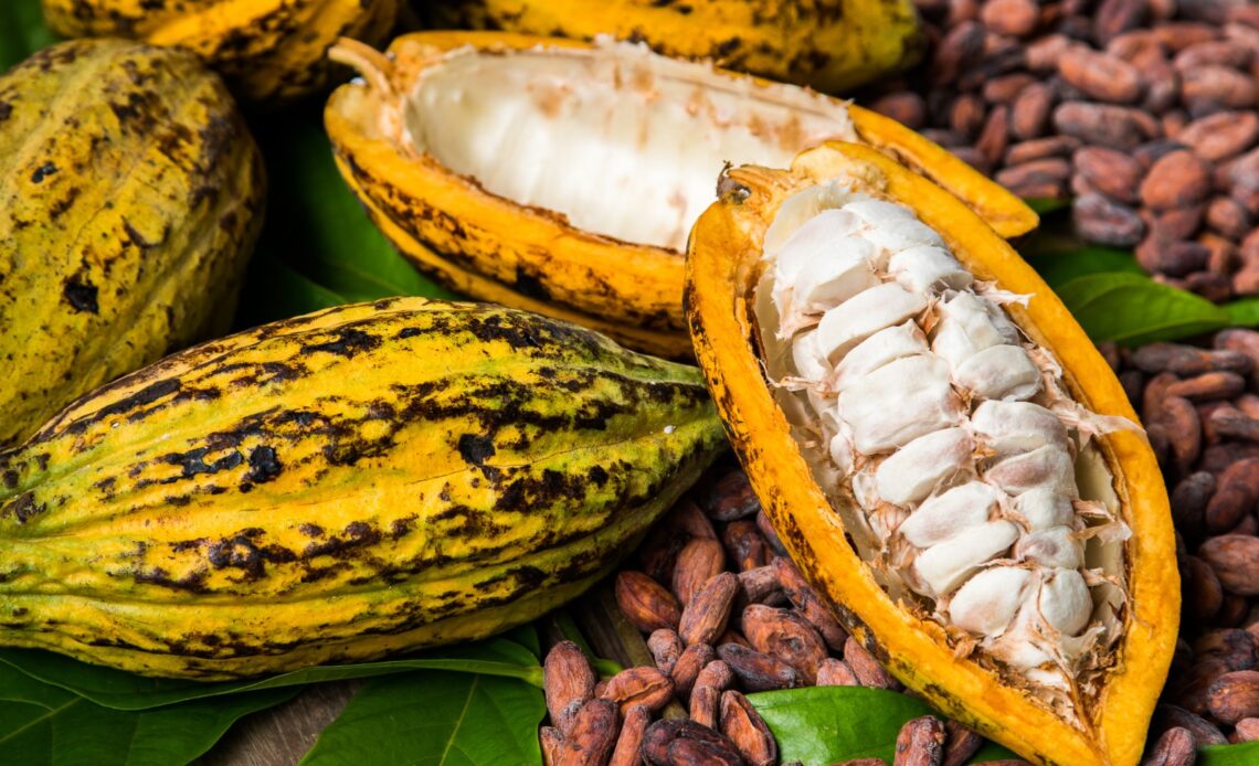 Festival Tempero Bahia chega a 9ª edição com aromas e sabores da Mata Atlântica 1 Festival Tempero Bahia