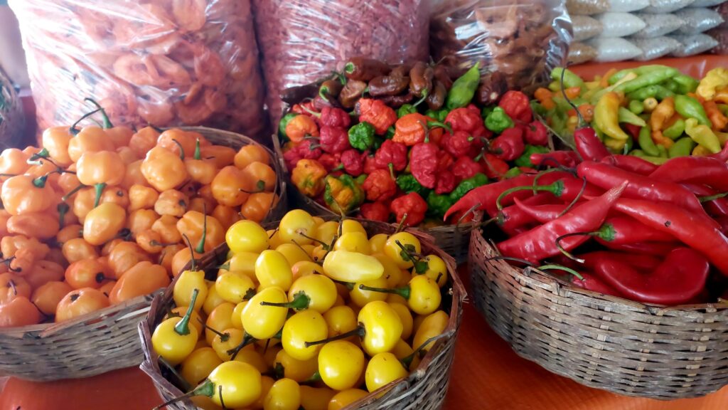 Festival Tempero Bahia chega a 9ª edição com aromas e sabores da Mata Atlântica 2 WhatsApp Image 2026 08 04 at 12.39.10