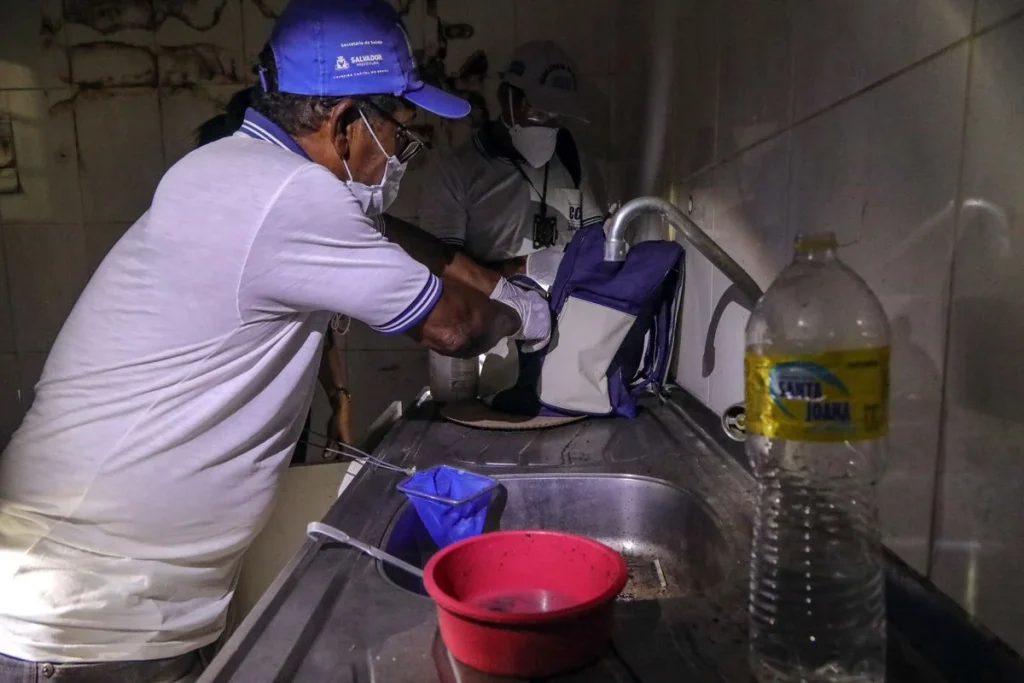acao de combate a dengue em salvador 2347210 article